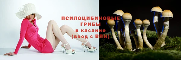 СК Балахна