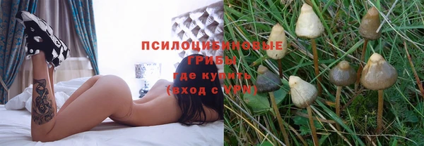 сатива Балабаново